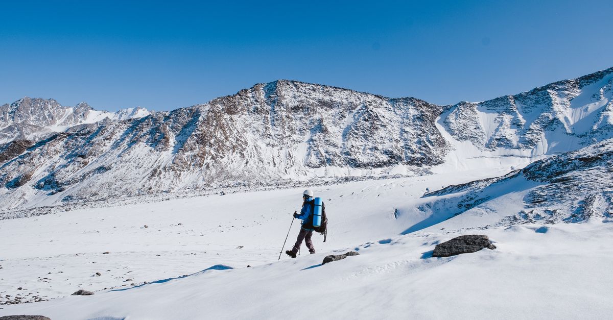 Best Trekking Poles UK: Locks, Materials and Getting the Height Right