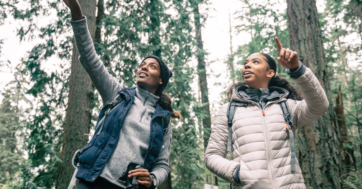 Best Waterproof Jacket UK Walking: Membranes, Laminates and DWR