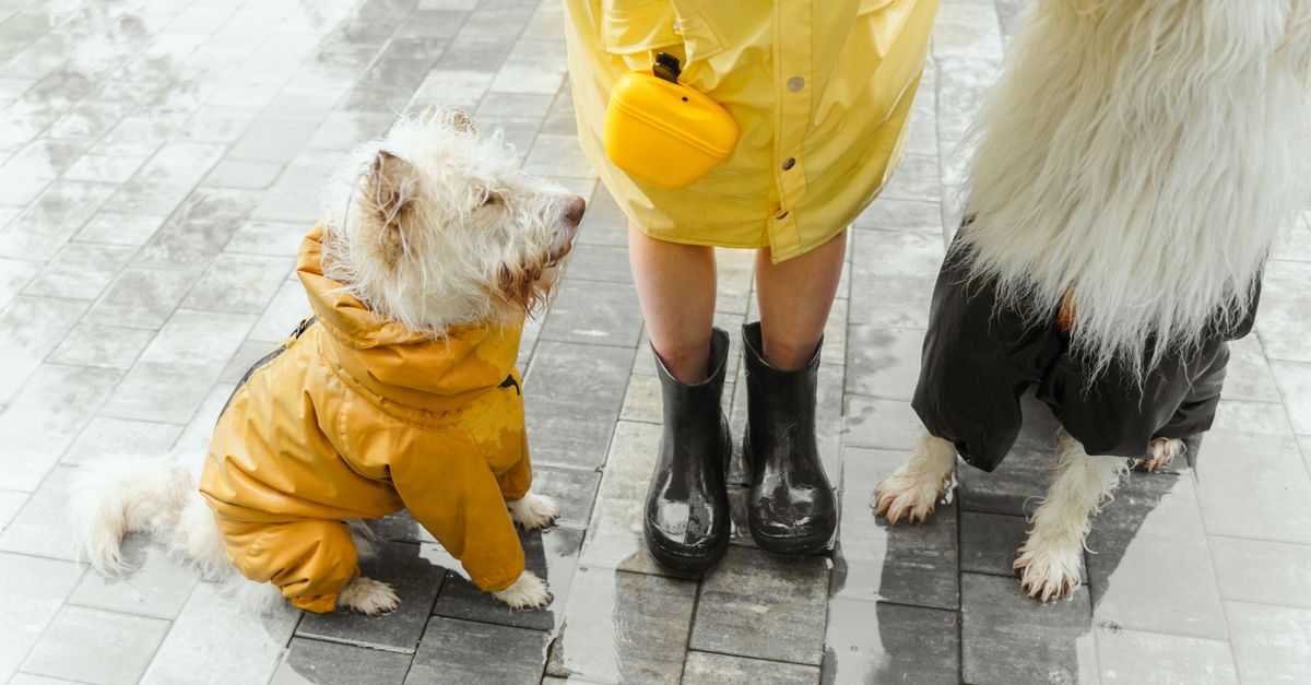 The Best Waterproof Trousers in the UK for 2026