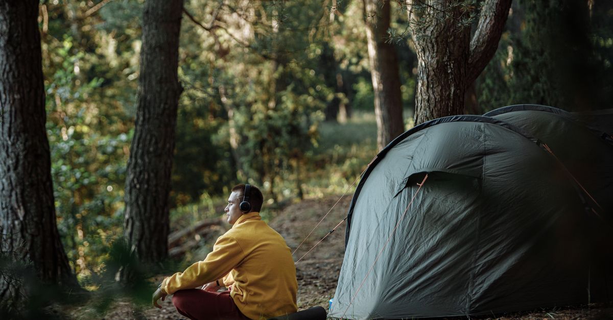 Bolmynydd Camping Park: A Complete Guide to Llanbedrog's Quietly Confident Campsite (2026)