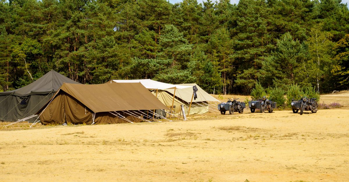 Camping New Forest: The Best Sites, Gear, and Essential Rules for 2026