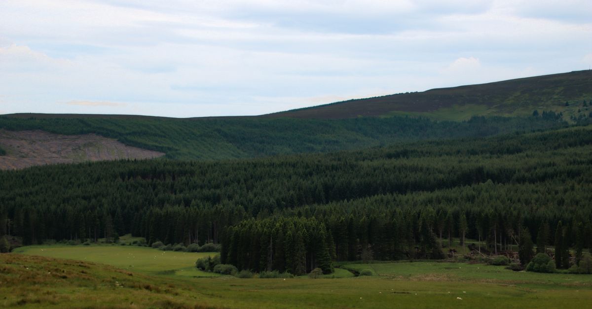 The Best Wild Camping Kit for the Cheviot Hills in 2026