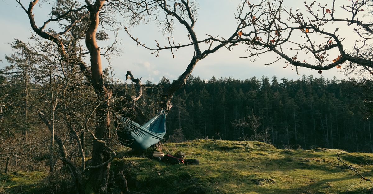 Haven Camping 2026: Caravan Grades, Touring Pitches and What You Actually Get