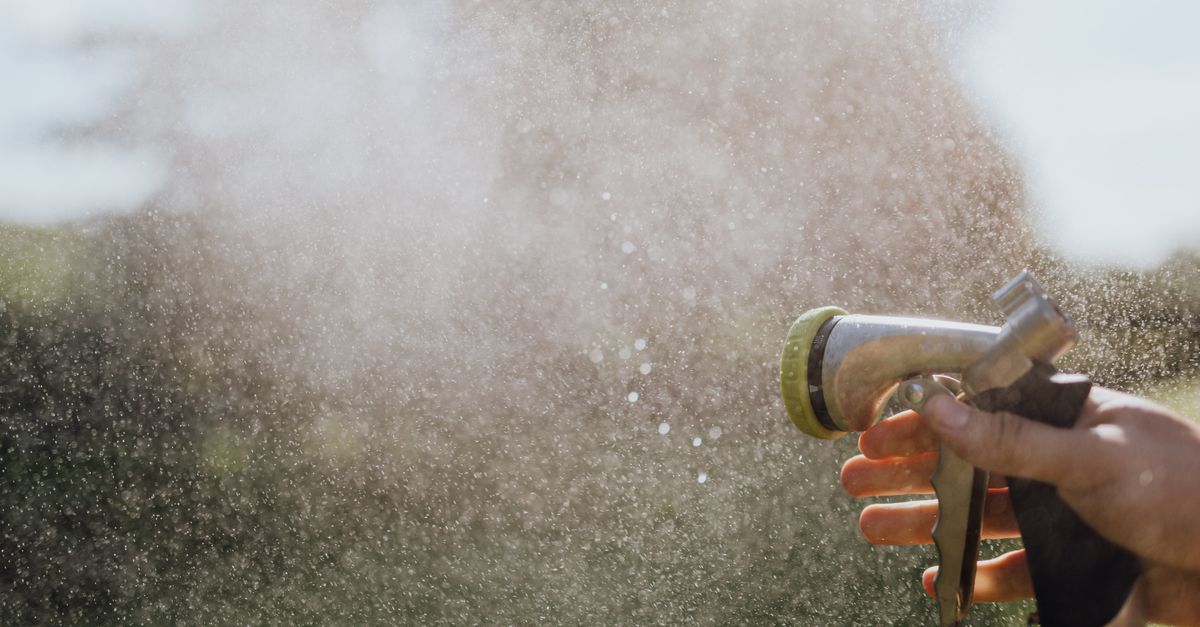 Homemade Bug Spray: What Really Works on UK Midges and Mosquitoes — and When to Buy the Real Thing