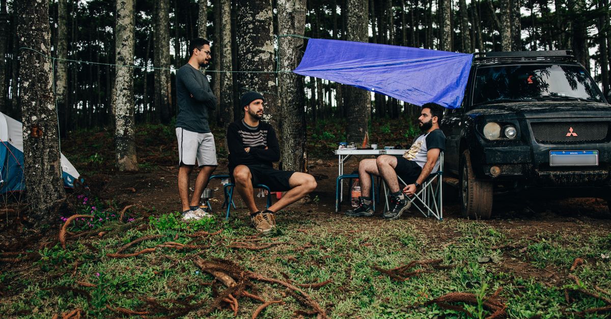 How to Avoid Midges When Camping: The Complete Guide to a Bite-Free Trip