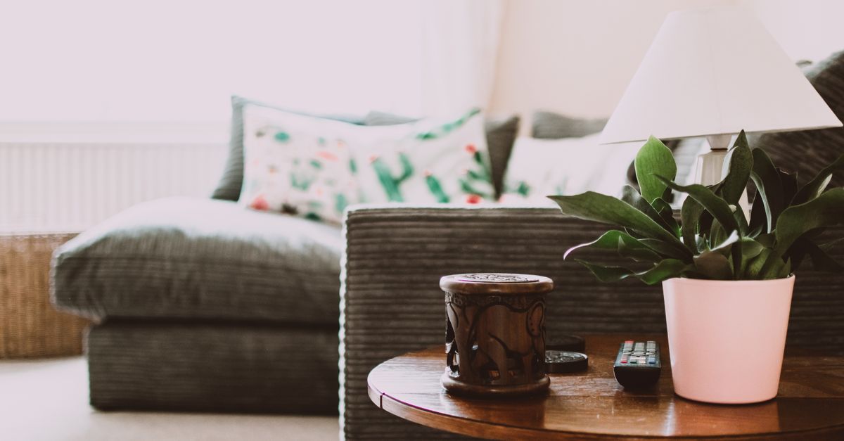 Best Insect Repellent for Your Room in 2026 (UK)