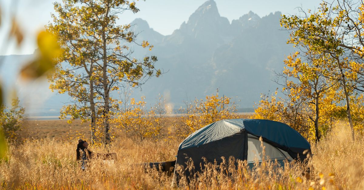 Leave No Trace Camping UK: The Best Gear for Wild Camps That Leave No Sign (2026)