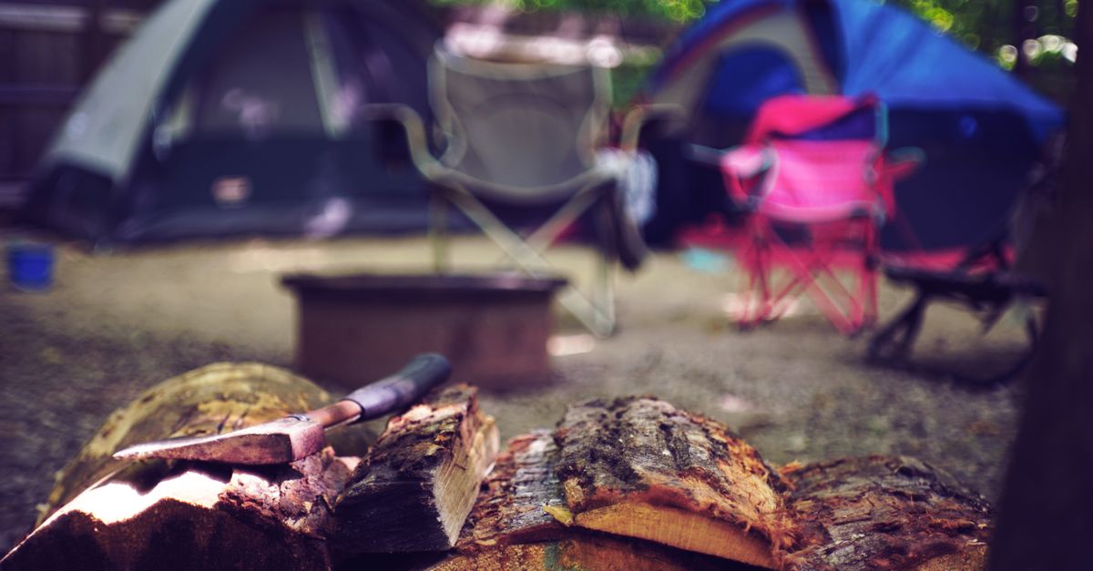New Forest Camping: The Best Gear and Campsites for 2026