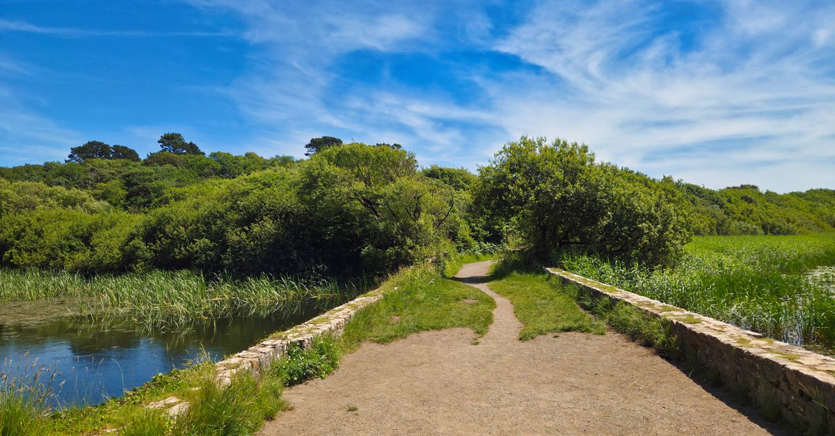 Pembrokeshire Coast Camping: The Best Gear and Campsite Know-How for 2026