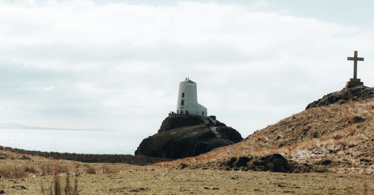 Shell Island Camping 2026: The Complete Guide to the UK's Biggest Campsite