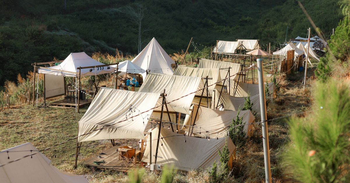 Watermouth Valley Camping Park: An Honest Review for 2026