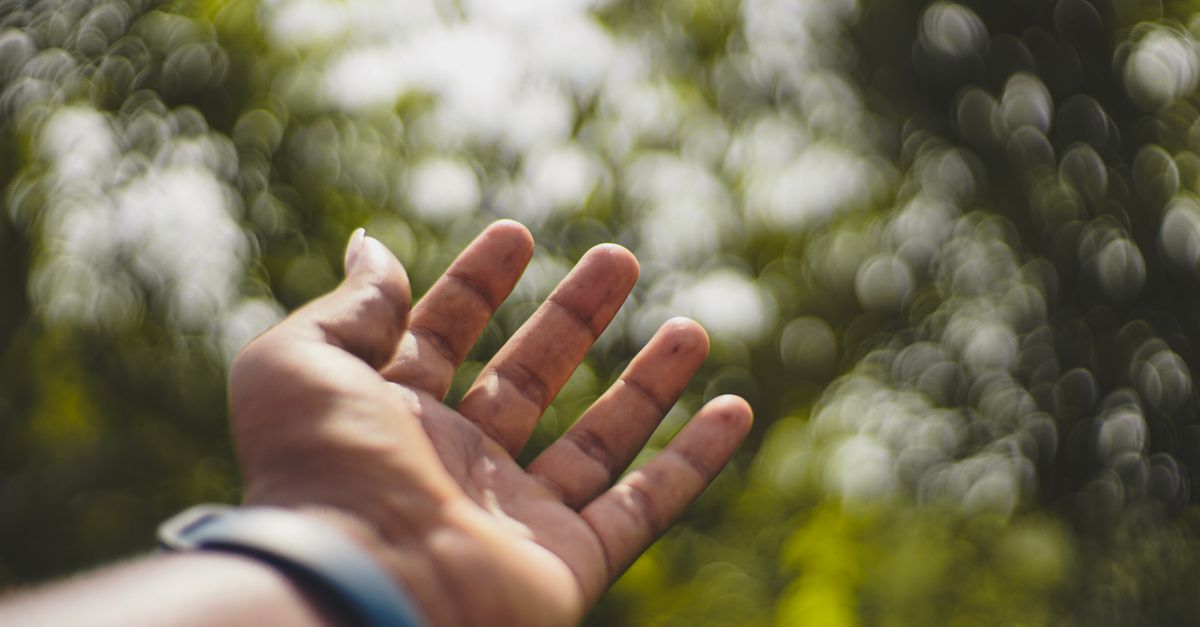 Wristband Insect Repellent: A Science-Backed Guide to the Best Options for 2026